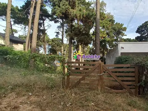 Ingeniero Devillard Entre Gaona Y Pringles