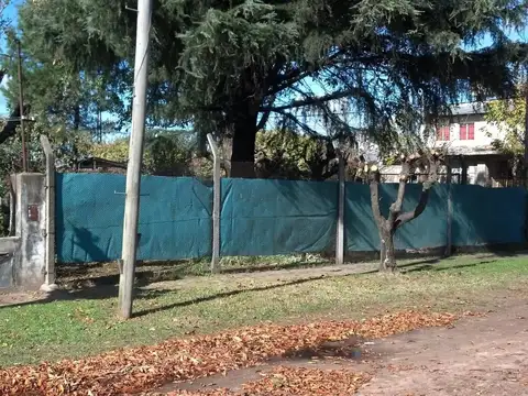 Cacique Coliqueo 909
