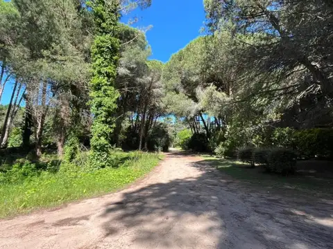 Terreno en Venta 44  mts Fondo