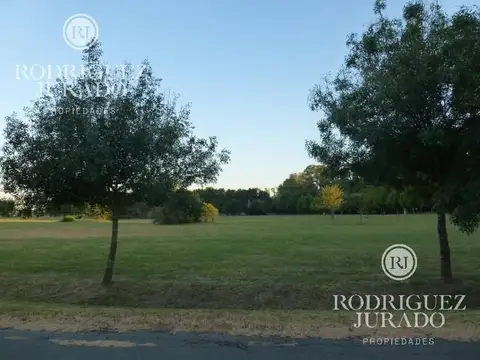 Haras San Pablo 200