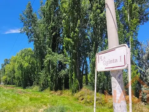 Terreno en  VENTA Vista Alegre