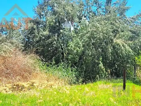 Terreno en  VENTA Vista Alegre