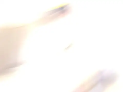 31 y 69 la plata