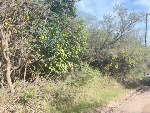 Pública