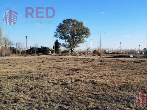 Terreno en Venta de 550,0 m2