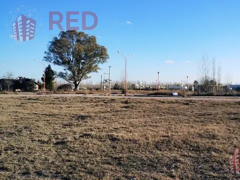 VENDE TERRENO EN FERNANDEZ ORO OPORTUNIDAD