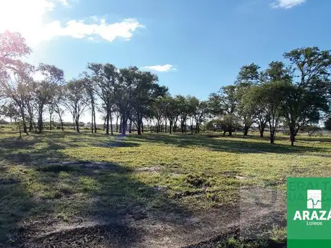 Terreno en Venta de 200,0 m2