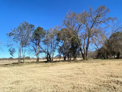 Terreno en Venta de 1979,0 m2