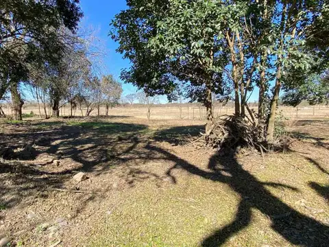 Venta terreno en La Arbolada San Lorenzo Chico