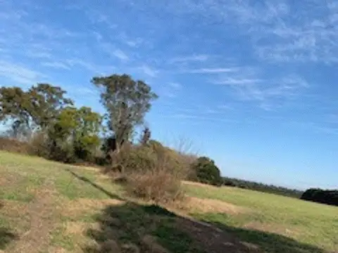 A METROS DE LA RUTA 1001