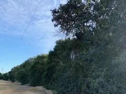 Campo en Venta de 10  ha