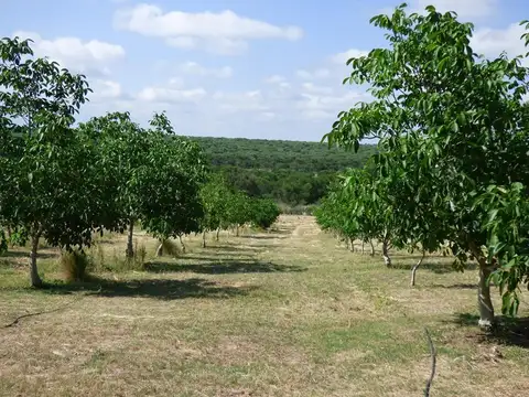 Campo en Venta de 5  ha