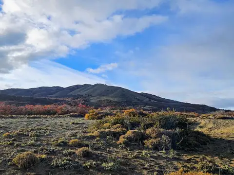 Rio Pico
