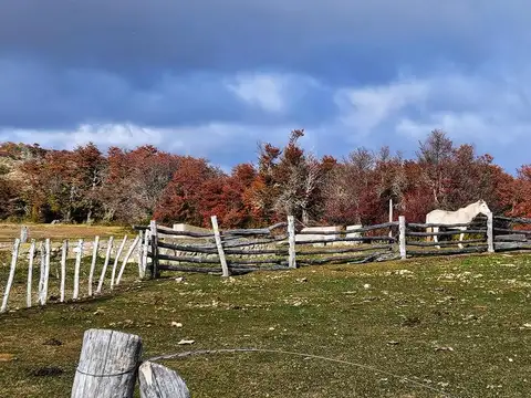 Campo en Rio Pico