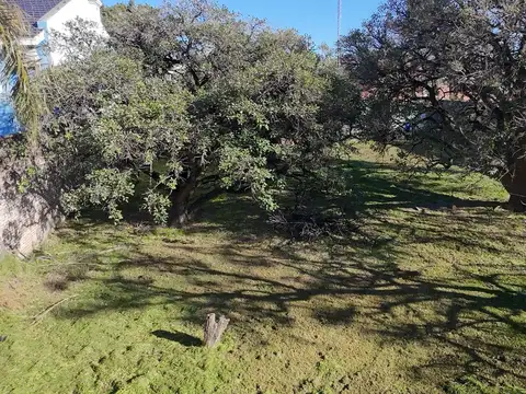 Terreno en Venta 44  mts Fondo