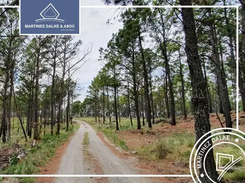 Campo en Venta de 10,09  ha