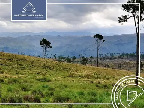 Campo en Venta de 10,09  ha