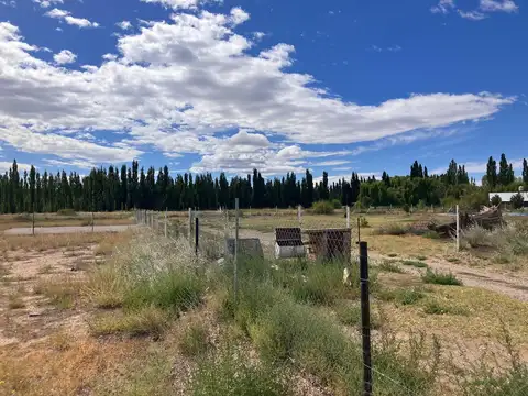 Terreno en Venta en Plottier, USD 23.000