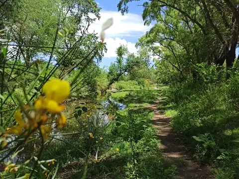 Vendo lotes desde 1.250 m² en San Esteban, Punilla, Sierras de Córdoba