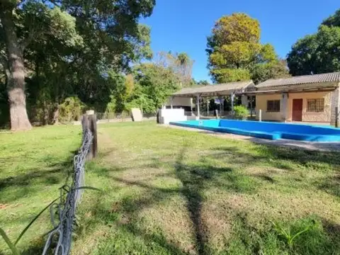 Las Luciernagas