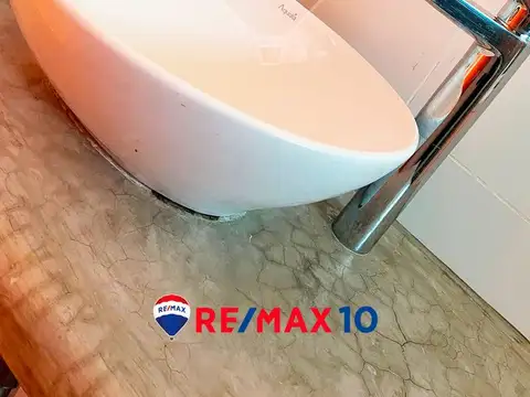 Continuación Cavia 100