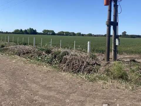 Zona Rural 6,04 ha 100