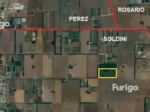 Campo - Soldini