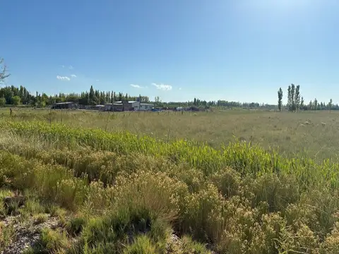 Finca n° 17.610 - Chacra 330, Lote A