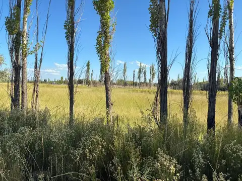 Finca n° 17.610 - Chacra 330, Lote A