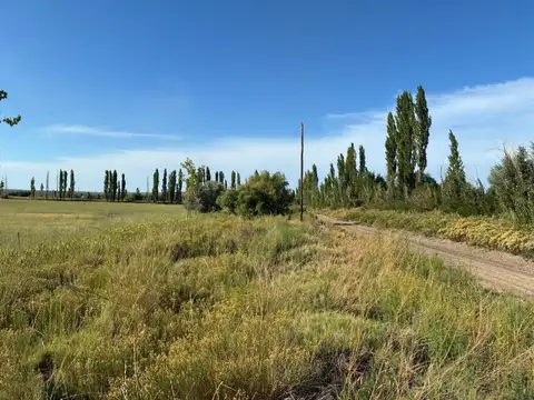 Finca n° 17.610 - Chacra 330, Lote A