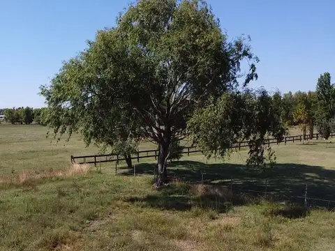 Haras el Malacate