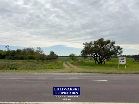 VENTA CAMPO AGRÍCOLA SOBRE RUTA PROVINCIAL 6 | US$ 3.500/HA. | Las Breñas, Chaco.