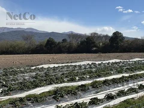 Chacra en la Calderilla, La Caldera, Salta