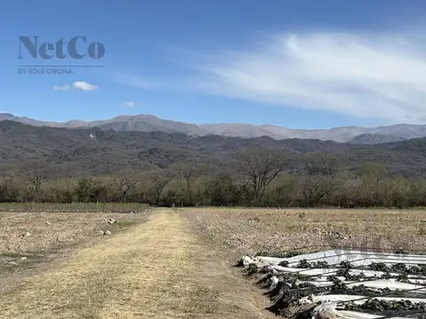 Casa en Venta 25 años