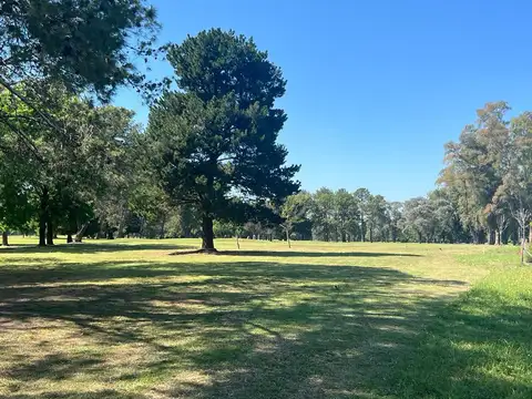 Terreno en Venta de 1600,0 m2