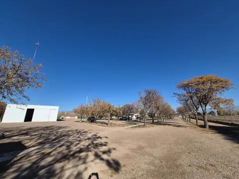 Buenos Vecinos 7700