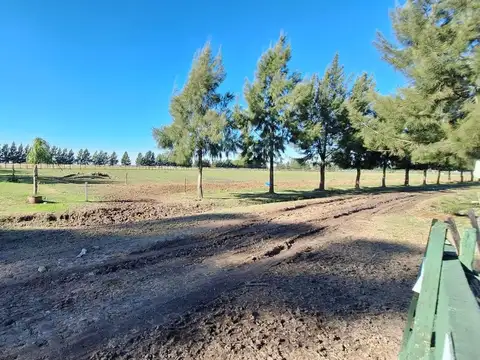 Ruta Provincial 215 Km 38.5