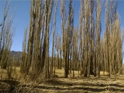 Cachi Adentro Fincha/chacra Totalmente Plana Al Pié De Los Cerros Del Secadero Con Proyecto Turistico Aprobado 1200