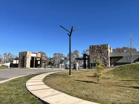 Viamonte s/n Chacras de Coria Luján de Cuyo