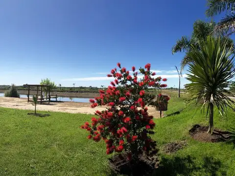 Terreno en Venta en Campos De La Enriqueta, USD 19.000