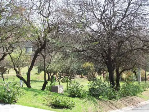 Terreno en Venta 20  mts Frente