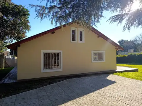 Gallo al 2000