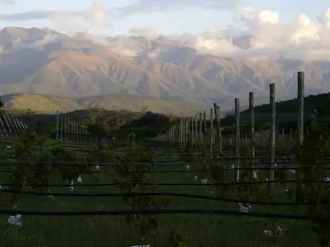 Terreno en Venta en Nono, USD 115.000