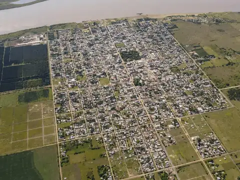 Campo agrícola de 39 has al Norte de Buenos Aires