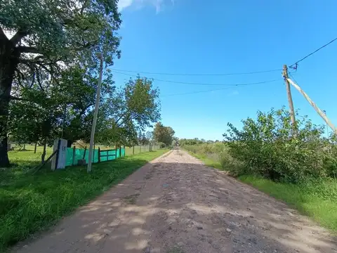 Luis Burela 5600