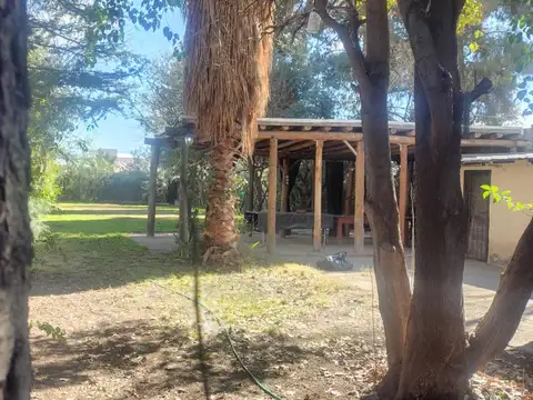 Rodríguez 1800