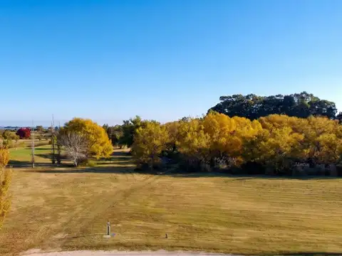 Avenida Rubén Falero 100