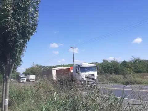 Campo en venta - Casilda