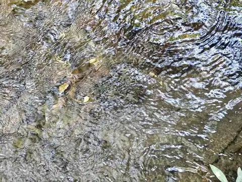 entre calle 7 y 8 100