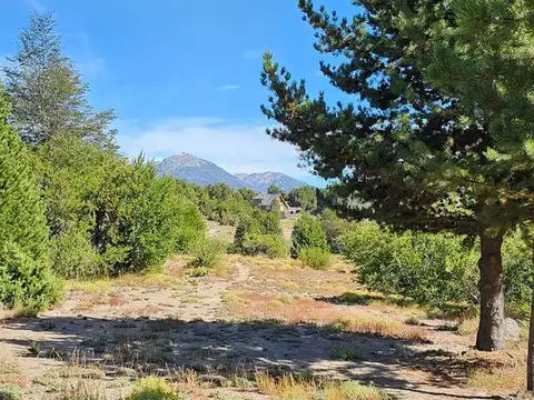 entre calle 7 y 8 100